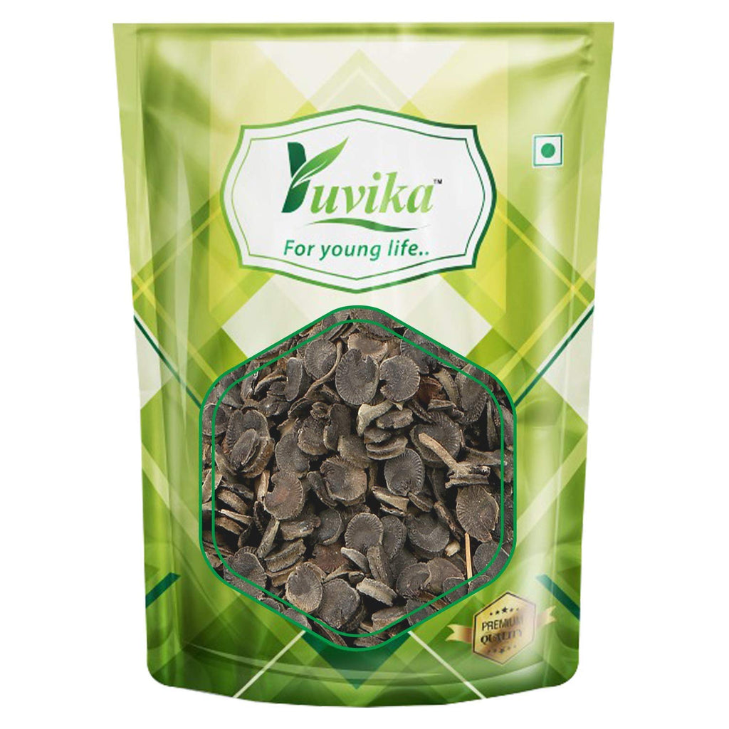 Yuvika Khatmi - Althaea Officinalis Linn