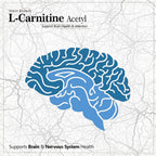 Vokin Biotech L-Carnitine Acetyl (ALCAR)- Support Brain Health- 500 mg