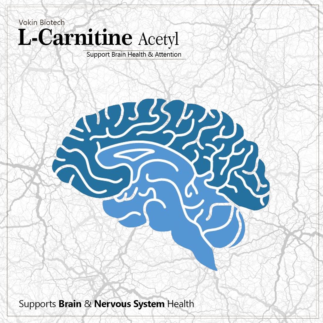 Vokin Biotech L-Carnitine Acetyl (ALCAR)- Support Brain Health- 500 mg