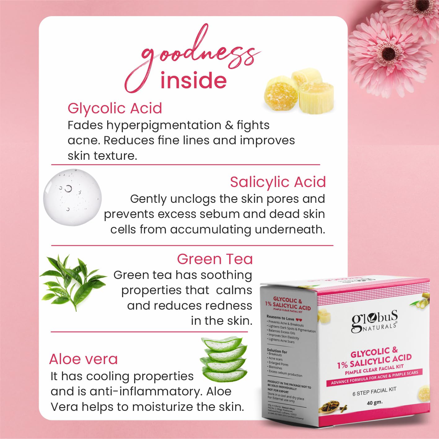 Globus Naturals Anti Acne Glycolic & Salicylic Acid 6 Step Facial Kit - Distacart