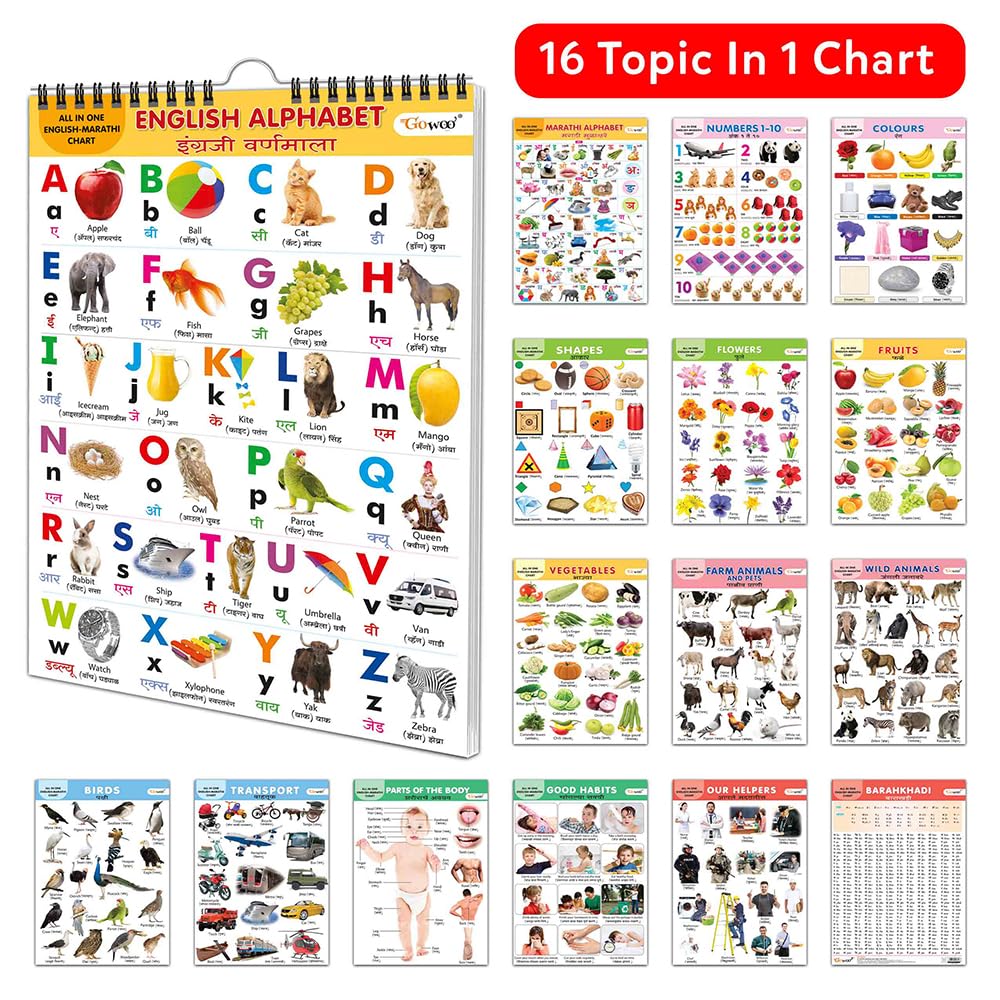 ENGLISH-MARATHI Chart For Kids (16 Charts ) 36 x 50 cm - Children Spiral Wall Picture Chart