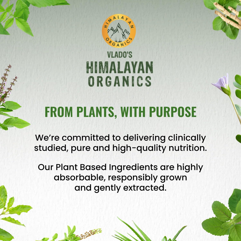 Himalayan Organics Korean Ginseng 800 mg Vegetarian Capsules - Distacart