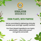 Himalayan Organics Korean Ginseng 800 mg Vegetarian Capsules - Distacart