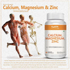 Vokin Biotech Calcium, Magnesium, Zinc, D3 & B12-Tablets