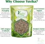 Yuvika Jeera Safed - Cuminum Cyminum - White Cumin Seeds - Distacart