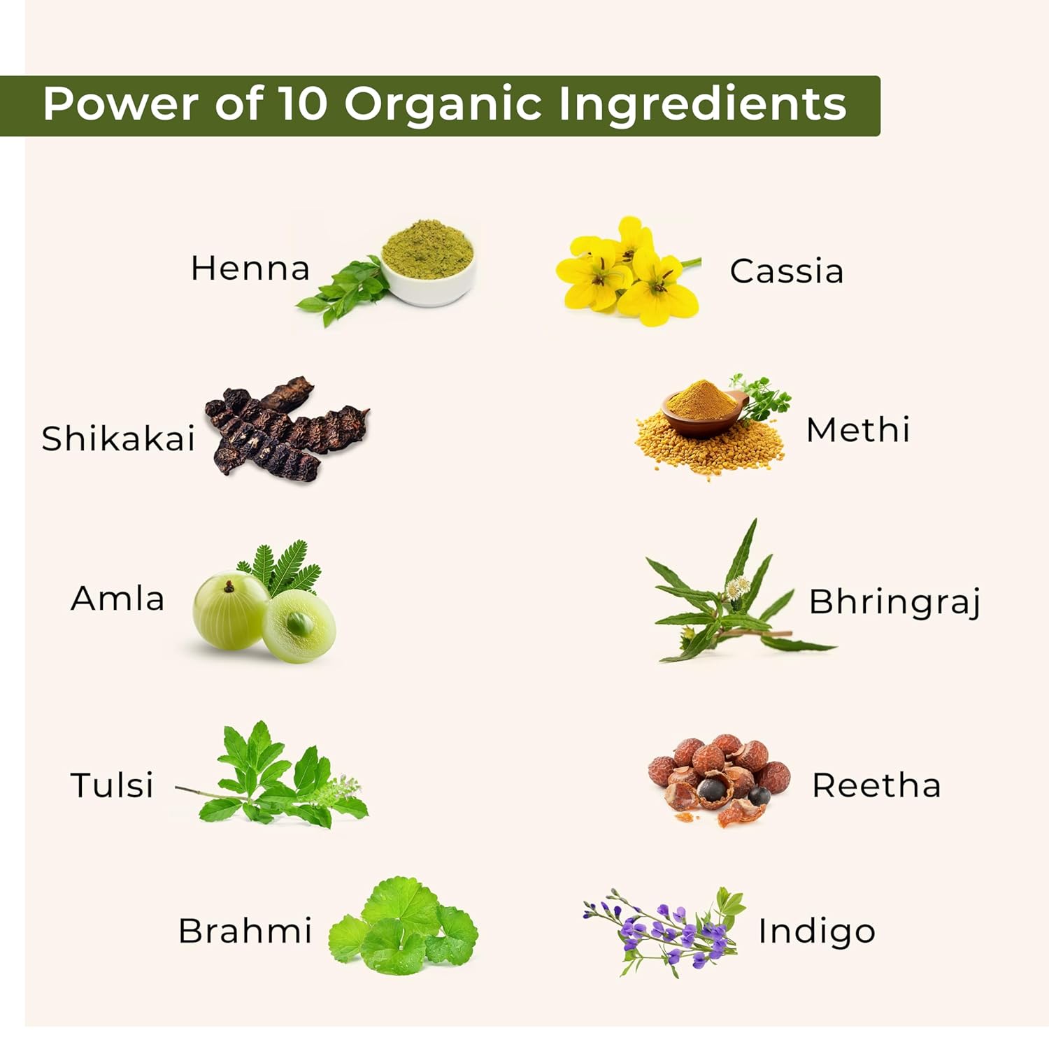 Indus Valley Bio Organic 100% Pure Indigo Powder & Herbal Henna Powder Hair Color Combo Kit for Natural Hair Dyeing - Black Indigo - 100 gm Each Without Preservatives