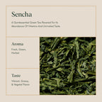 ILEM JAPAN Sencha Green Tea Bags, Organic Japanese, Loose Leaf, Green Tea, First Harvest, Smooth Taste, 15 Tea Bags (30 g)
