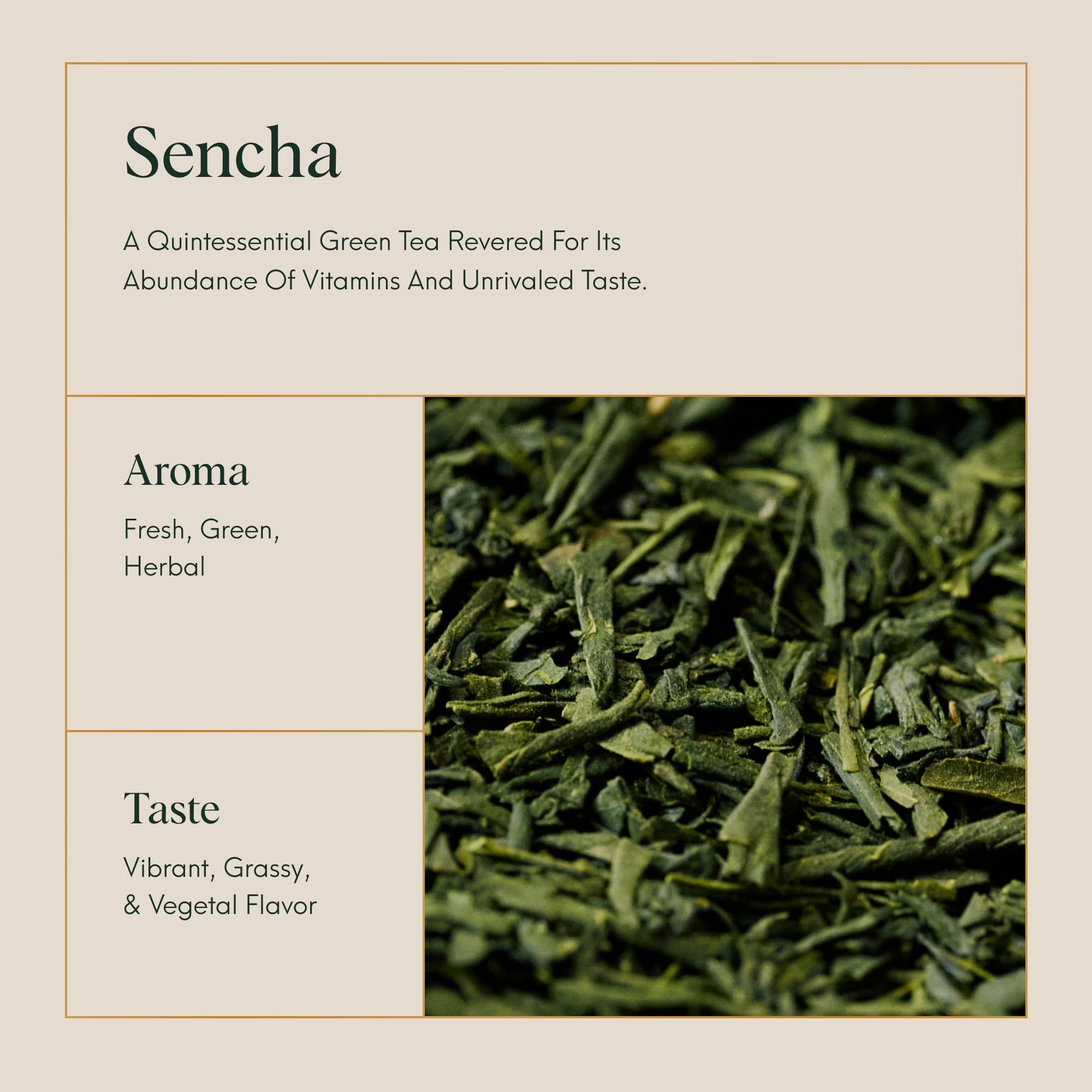 ILEM JAPAN Sencha Green Tea Bags, Organic Japanese, Loose Leaf, Green Tea, First Harvest, Smooth Taste, 15 Tea Bags (30 g)