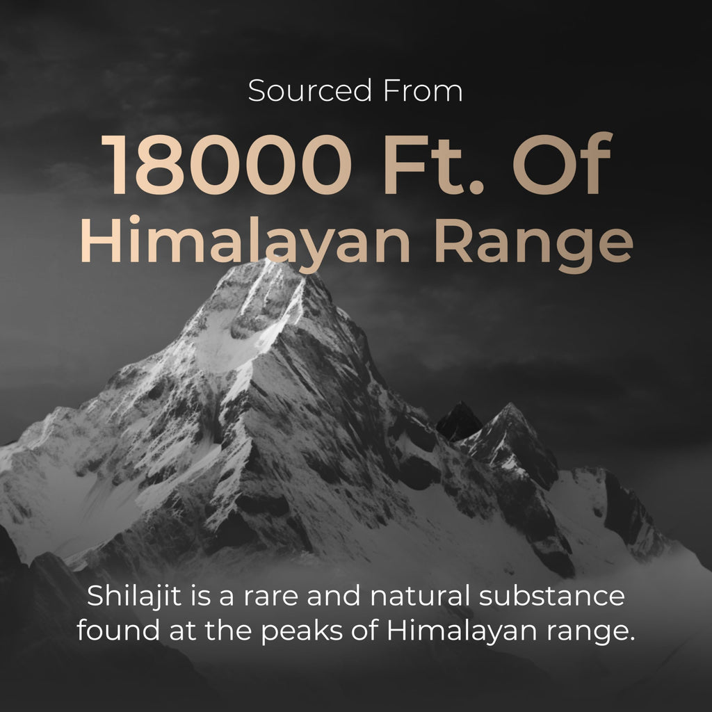 Nutrabay Shudh Himalayan Sj Resin