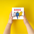 Pocket Board Book Set of ABC, Numbers, Fruits, Vegetables, Wild Animals, Birds - Kids educational board book, Preschool learning books, Preschool Kids Books Children | books