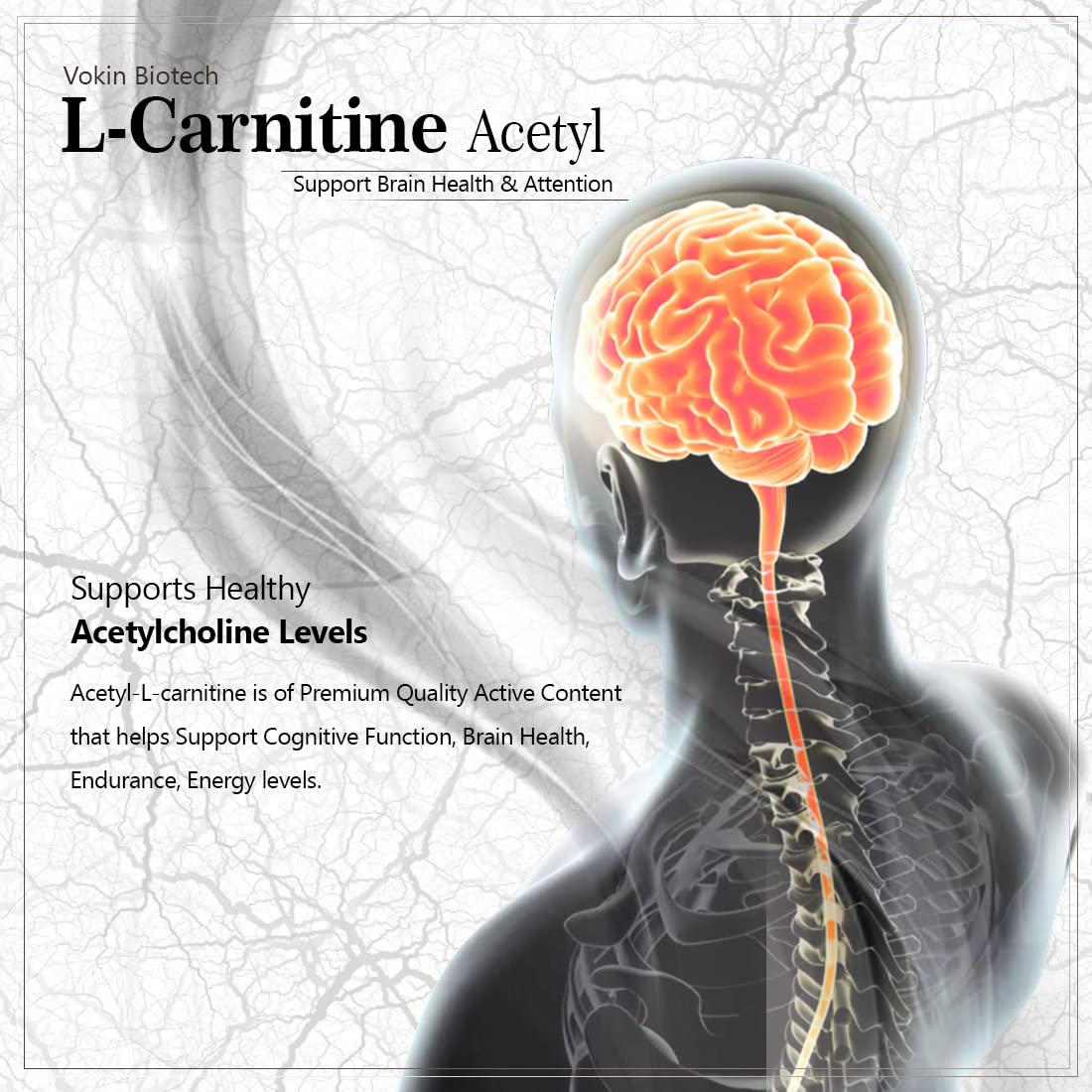 Vokin Biotech L-Carnitine Acetyl (ALCAR)- Support Brain Health- 500 mg