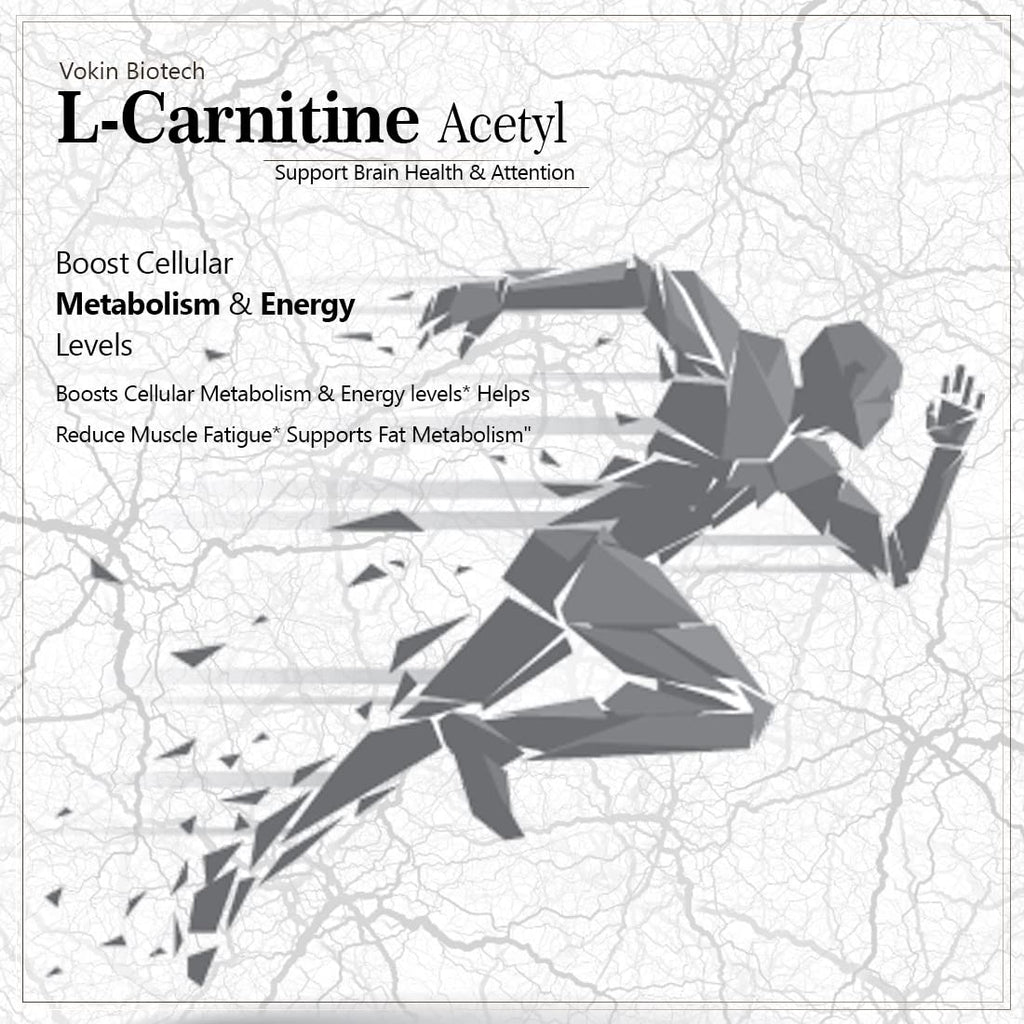 Vokin Biotech L-Carnitine Acetyl (ALCAR)- Support Brain Health- 500 mg