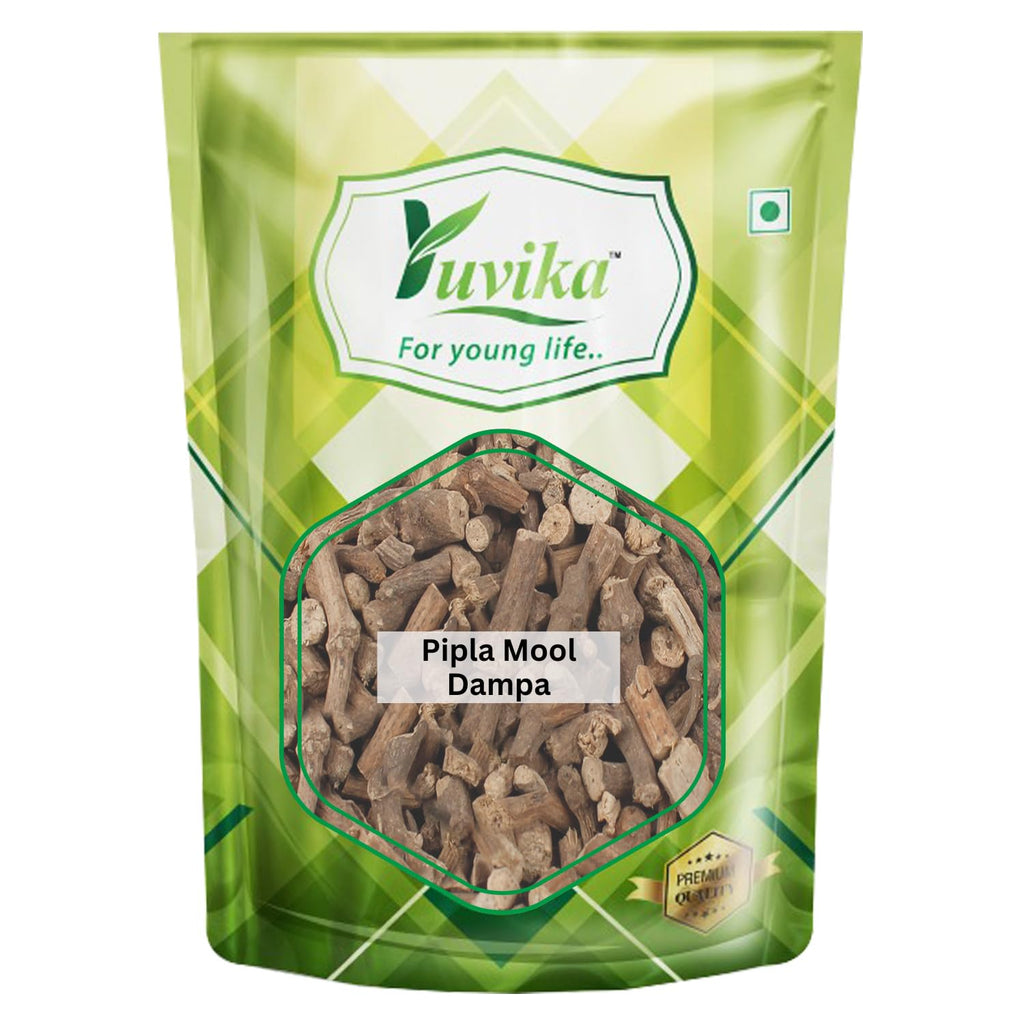 Yuvika Pipla Mool Dampa | Piplamool | Peepla Mool