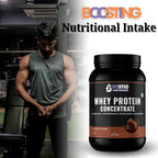 BOOSTIQ Whey Protein Concentrate Powder - Chocolate Flavour