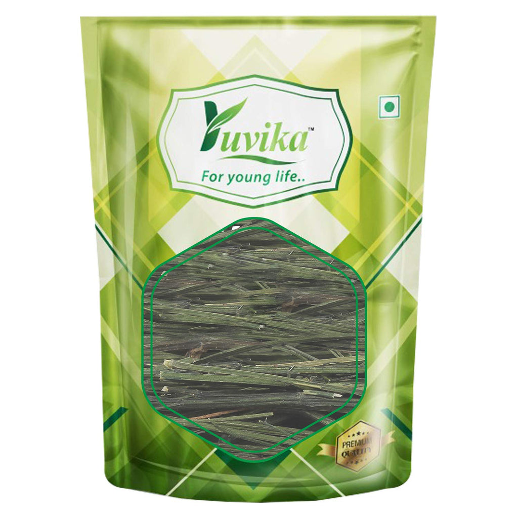 Yuvika Kalmegh |Chirayta Hara | Kirayata- Andrographis Paniculata