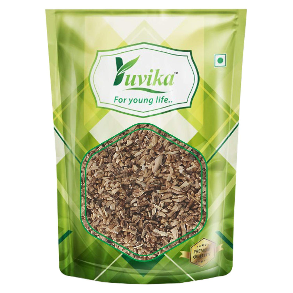 Yuvika Kasni Seeds - Cichorium Intybus - Endive | Chicory