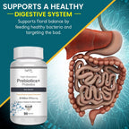 Vokin Biotech Prebiotics + Probiotics 20 Billion Cfu Supplement with Delayed-Release Capsules for Temperature Stable, Digestion and Immune Health