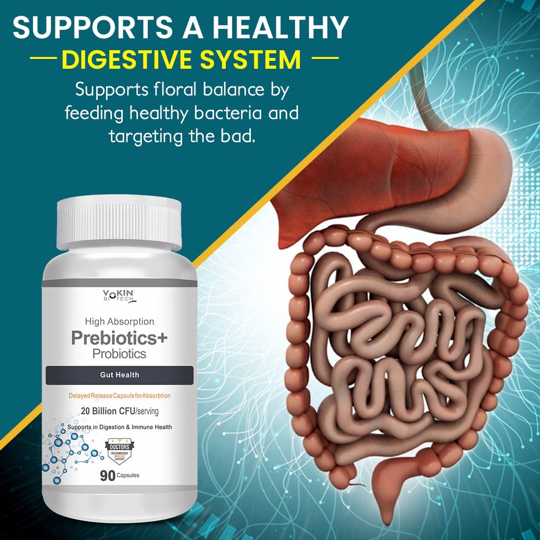 Vokin Biotech Prebiotics + Probiotics 20 Billion Cfu Supplement with Delayed-Release Capsules for Temperature Stable, Digestion and Immune Health