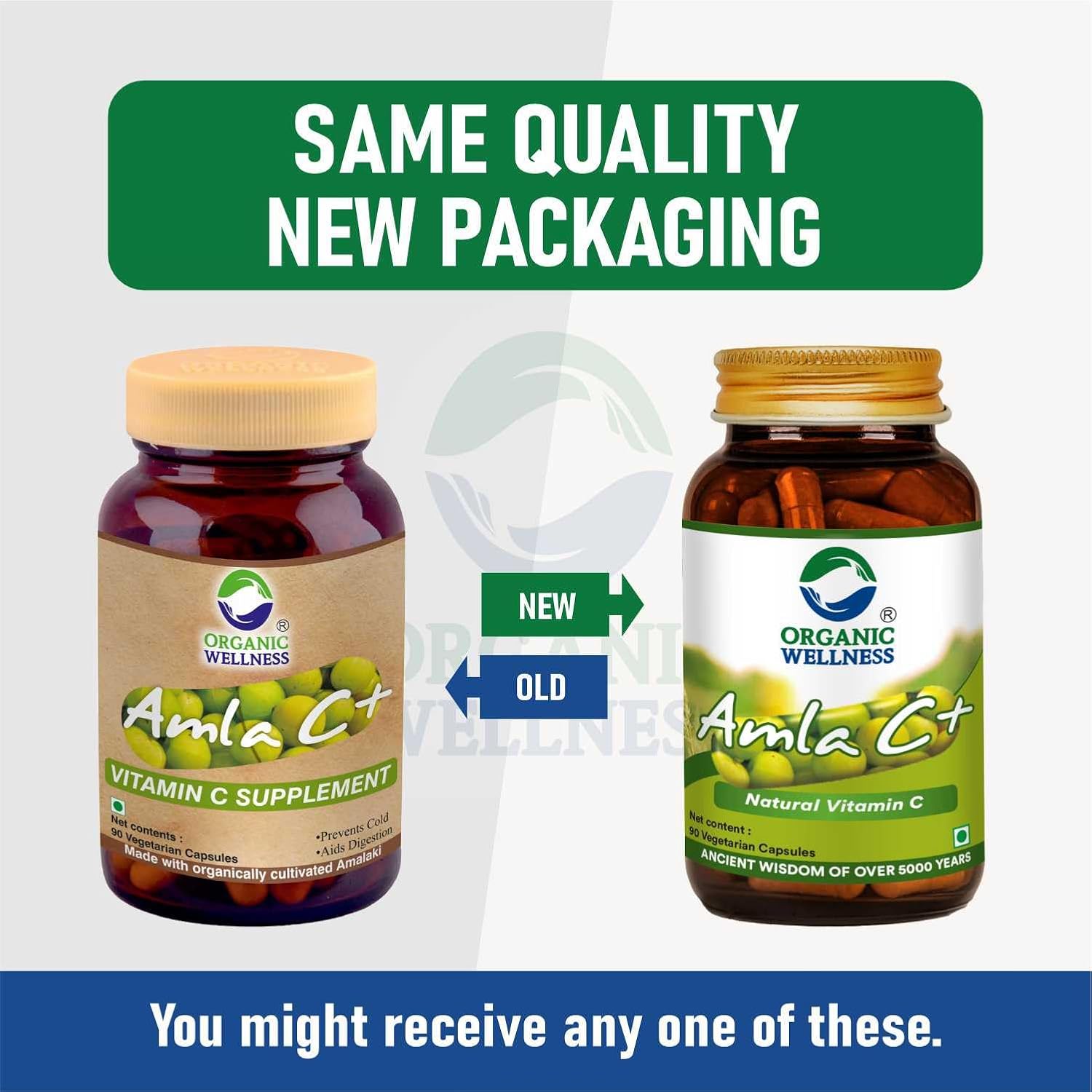 Organic Wellness Amla C+ - Distacart