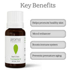 Aroma Treasures Basil (Tulsi) Pure Essential Oil