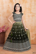 Wedding Designer Mahendi Georgette Kidswear Lehenga - Aaradhna