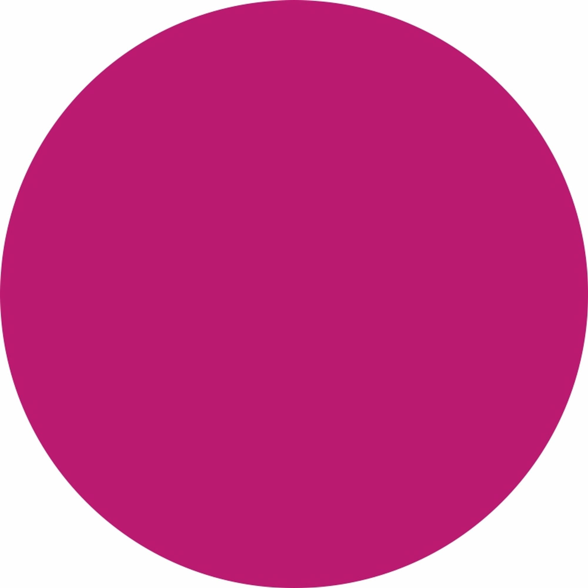 Matt Look Lip Makeup Girls Essential Color Moisturizing Lip Balm - Dangerous Pink