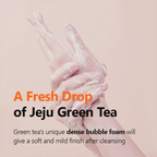 Isntree Green Tea Fresh Cleanser - Distacart