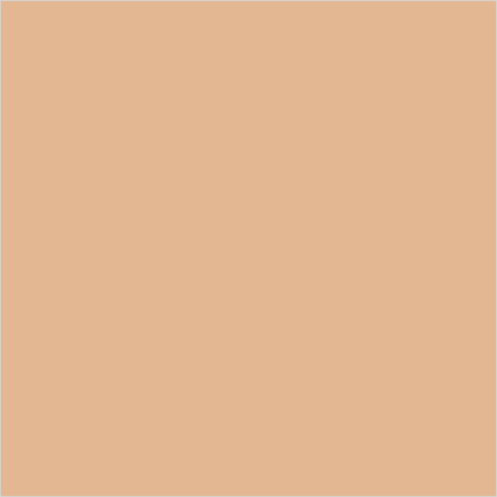 Colorbar 24Hrs Wear Weightless Powder Foundation Pf 6