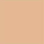 Colorbar 24Hrs Wear Weightless Powder Foundation Pf 6