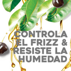 OGX Kukui Oil Shampoo Hydrate Plus Defrizz
