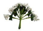 White Pollens