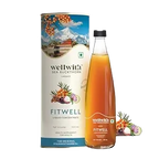 Wellwith Fitwell Juice – Himalayan Sea Buckthorn + Garcinia, Kokum & Punarnava - Distacart