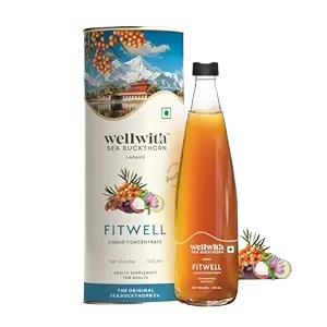 Wellwith Fitwell Juice – Himalayan Sea Buckthorn + Garcinia, Kokum & Punarnava