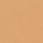 Kryolan Cake Make-up - Fs 22