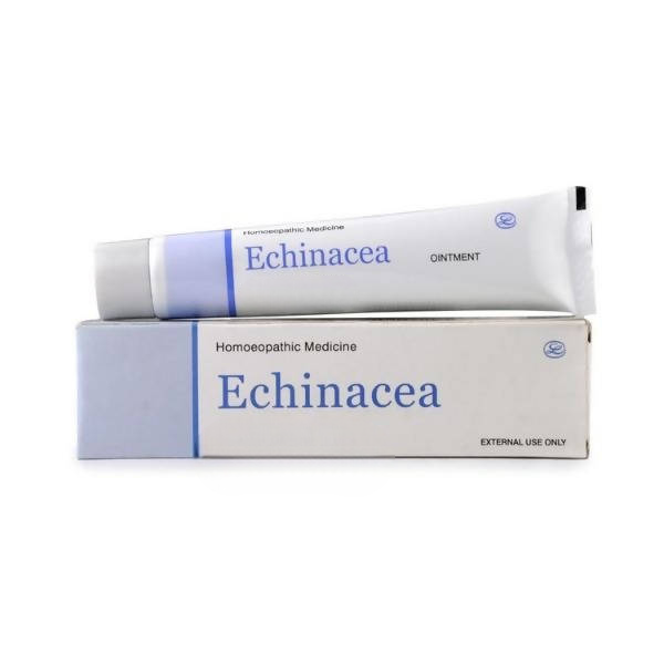 Lord's Homeopathy Echinacea Ointment - Distacart