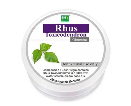 Bio India Homeopathy Rhus Toxicodendron Ointment