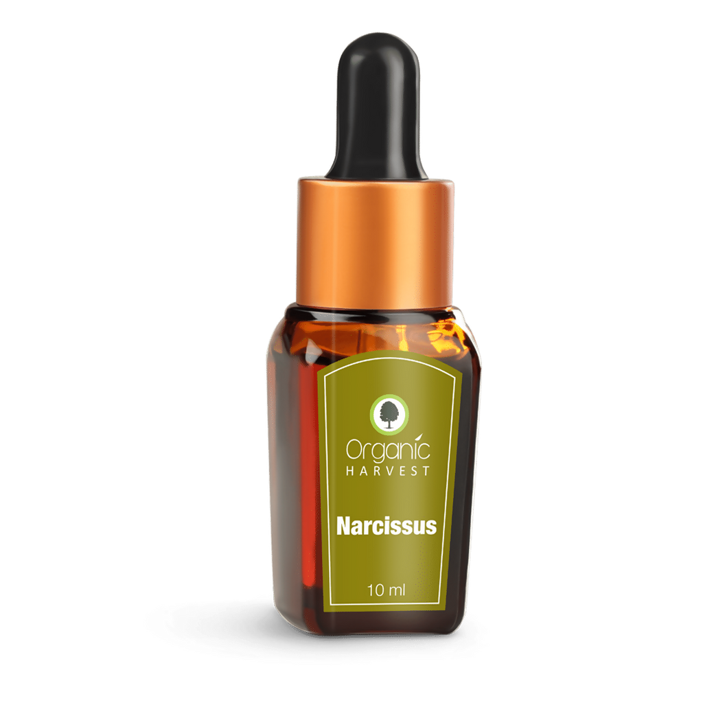 Organic Harvest Narcissus Essential Oil