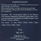Chambor Luminous Blush Dusty Rose 06