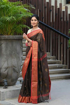 Beatitude Brown Cotton Banarasi Saree