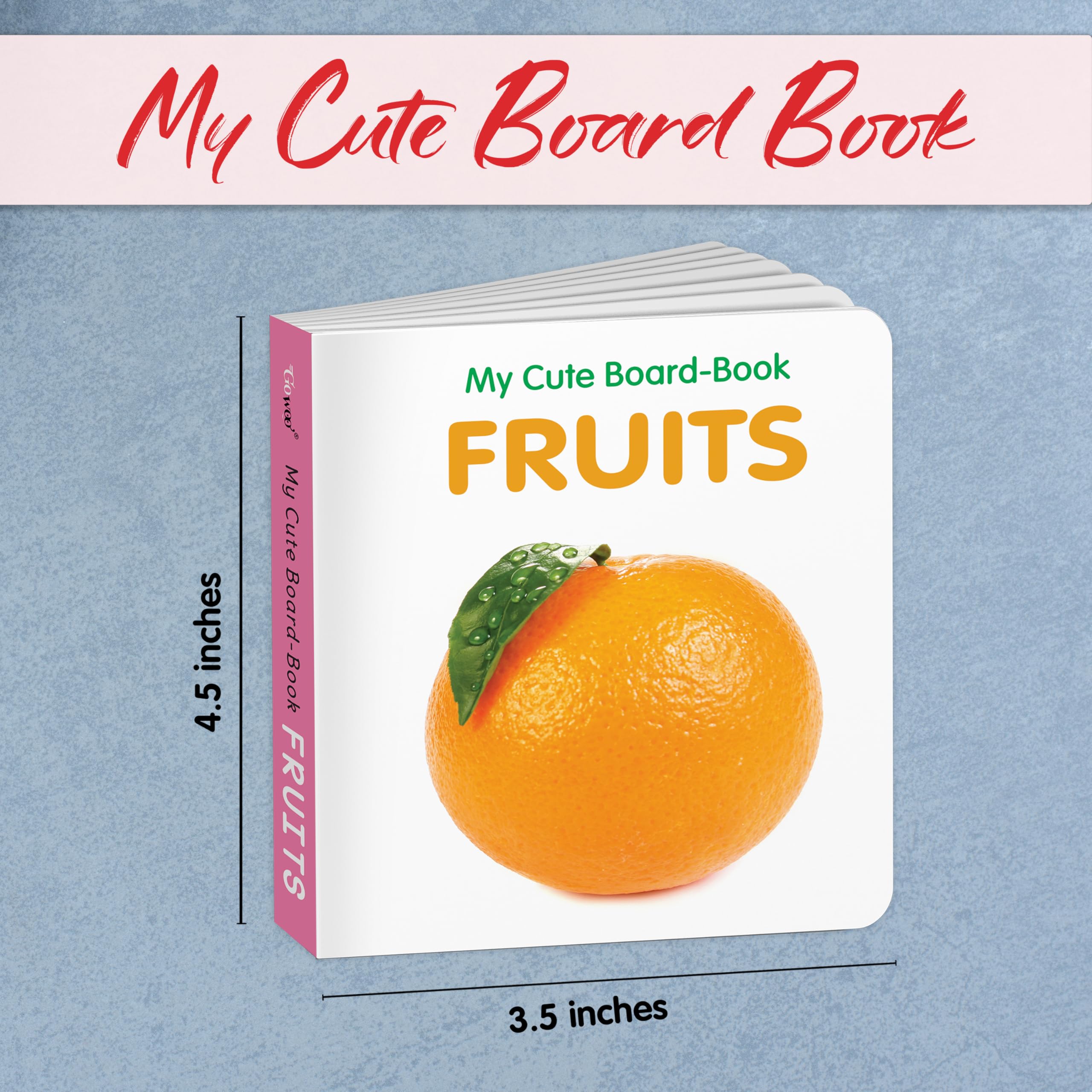 Pocket Board Book Set of ABC, Numbers, Fruits, Vegetables, Wild Animals, Birds - Kids educational board book, Preschool learning books, Preschool Kids Books Children | books
