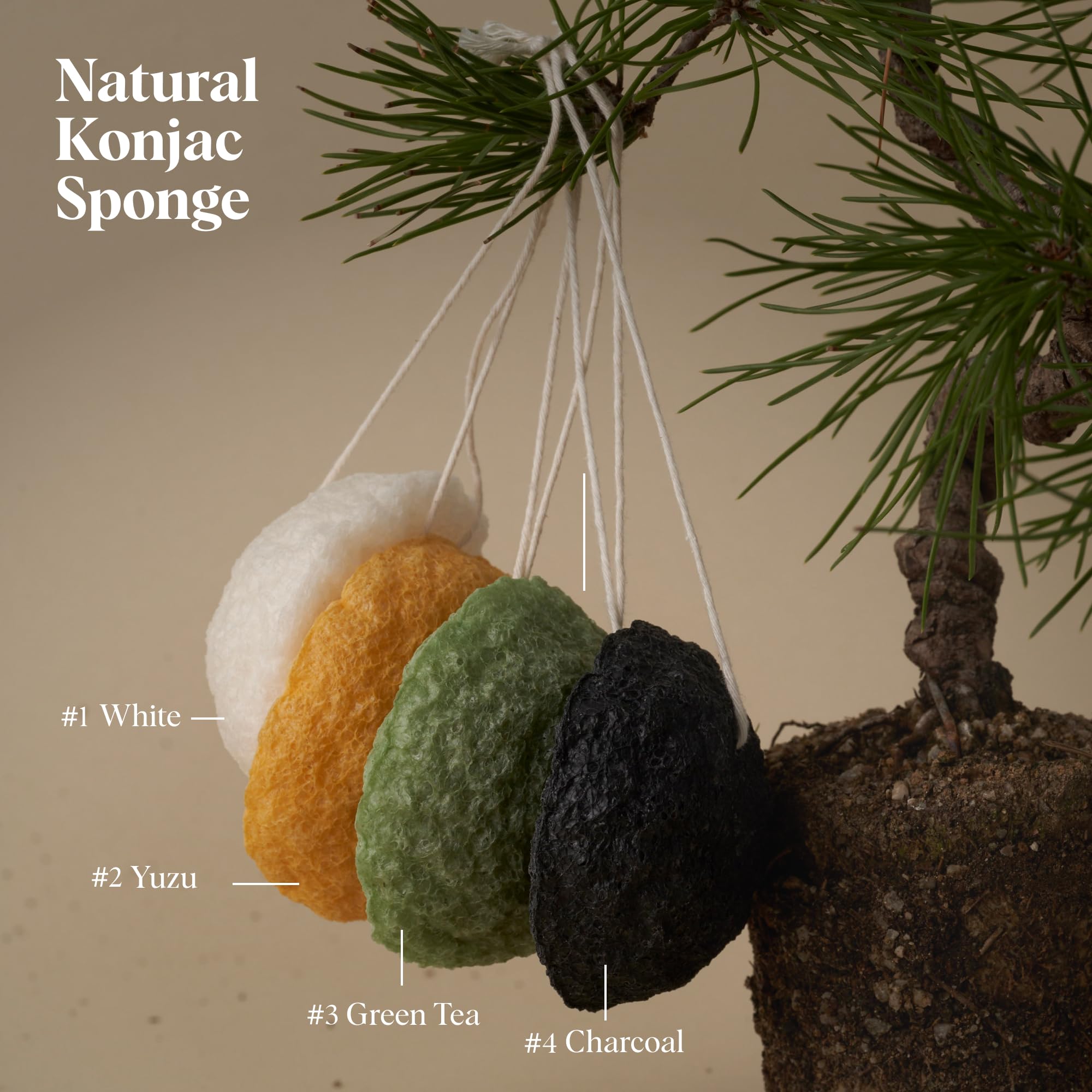 ILEM JAPAN Natural Konjac Sponge Face (Green Tea)