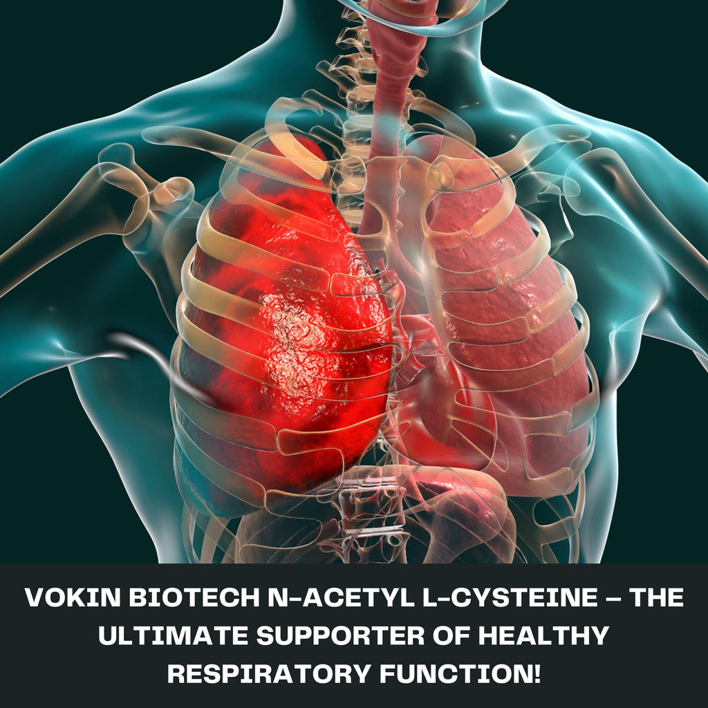 Vokin Biotech N-Acetyl L-Cysteine (NAC) – Supports Healthy Respiratory Function- 500mg