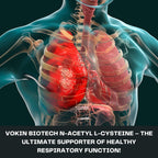 Vokin Biotech N-Acetyl L-Cysteine (NAC) – Supports Healthy Respiratory Function- 500mg