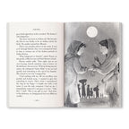 The Magic of the Lost Earrings: A New Nooni Adventure by Sudha Murty | A Story of History, Family Bonds and Hidden Treasures | Ages 9+