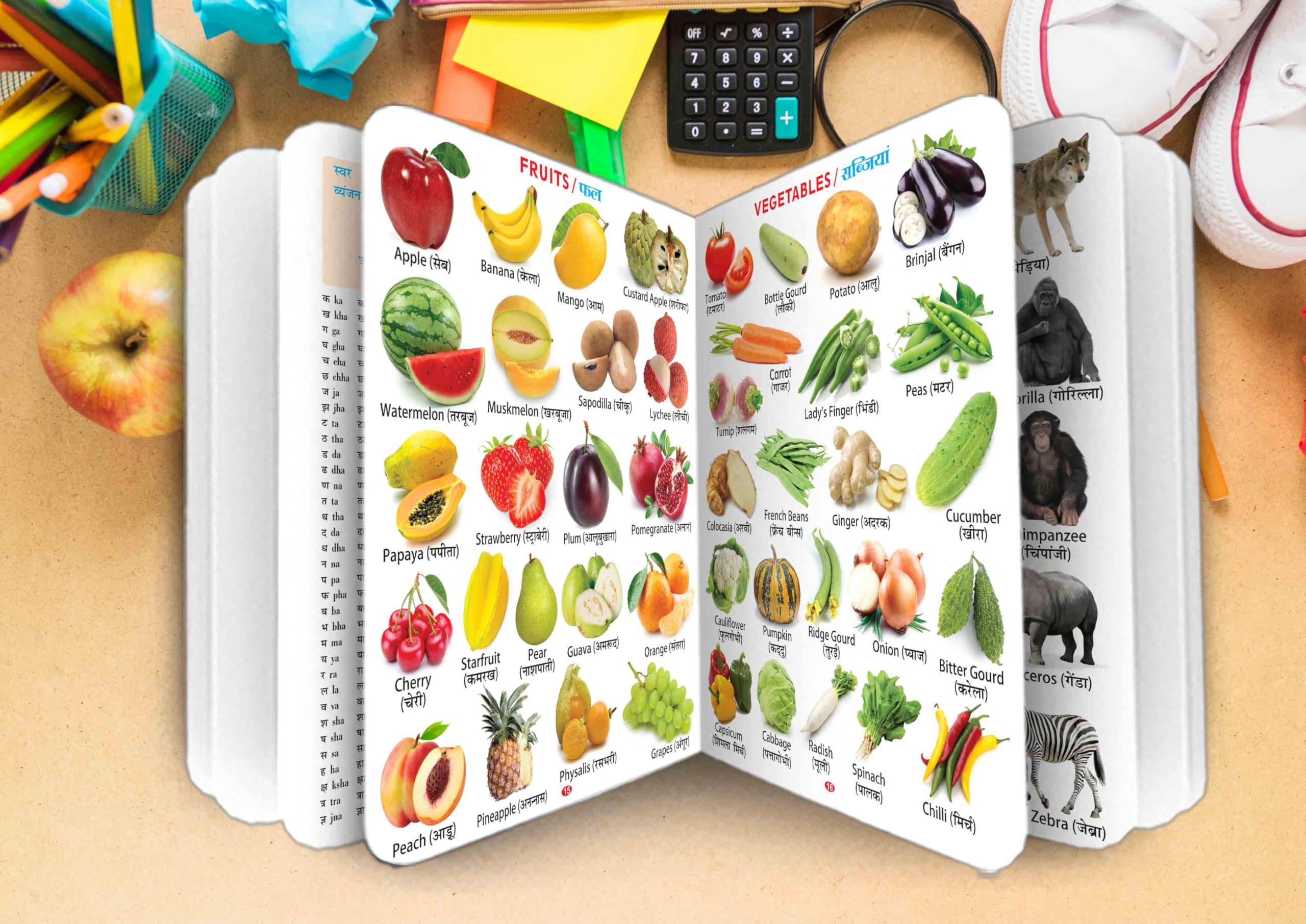 My First Giant Board Book (English-Hindi) With 31 Topics (Waterproof, Dust-Resistant, Big Fonts, Hard Laminated, Realistic Pictures, Tear Resistent) | Gift Set For Kids