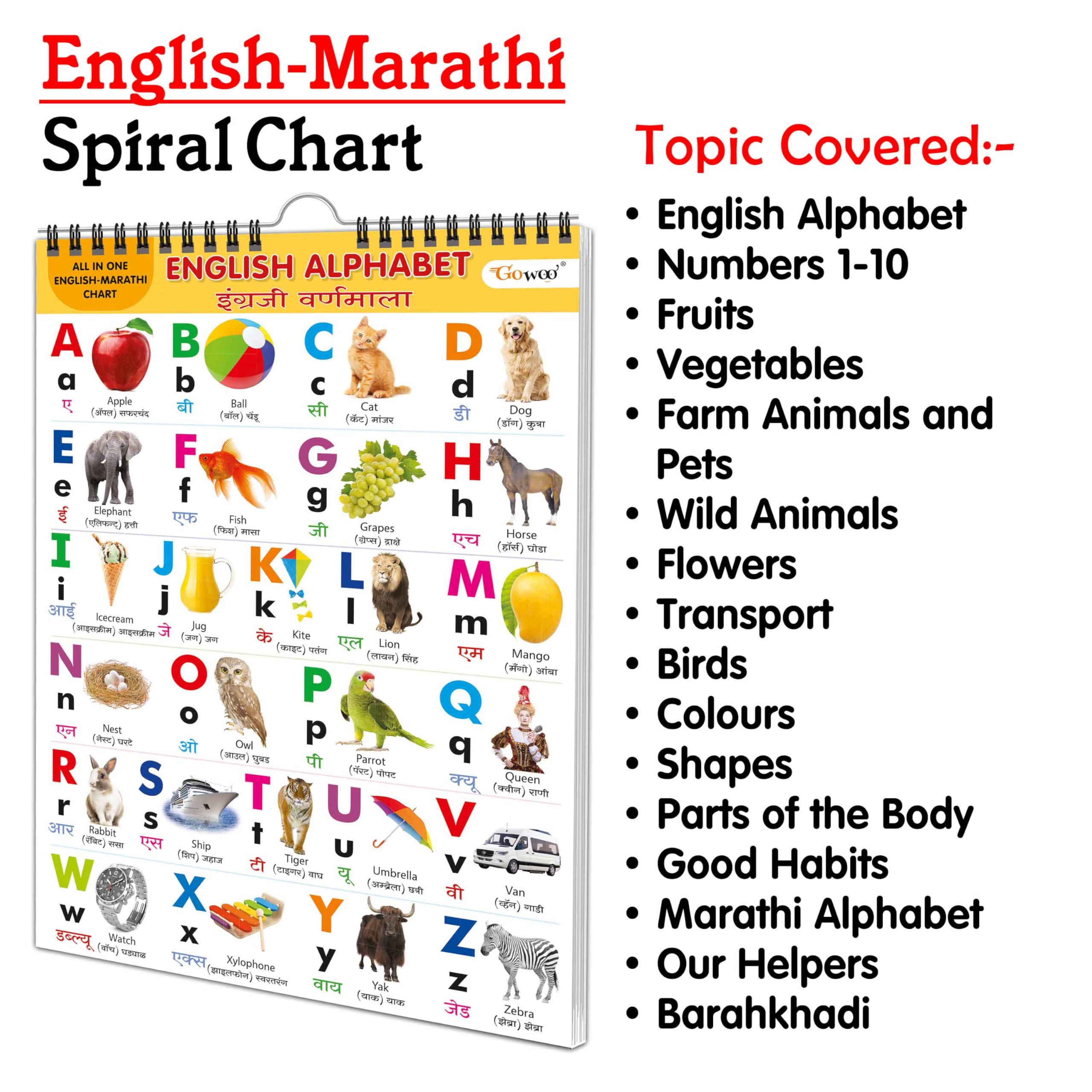 ENGLISH-MARATHI Chart For Kids (16 Charts ) 36 x 50 cm - Children Spiral Wall Picture Chart