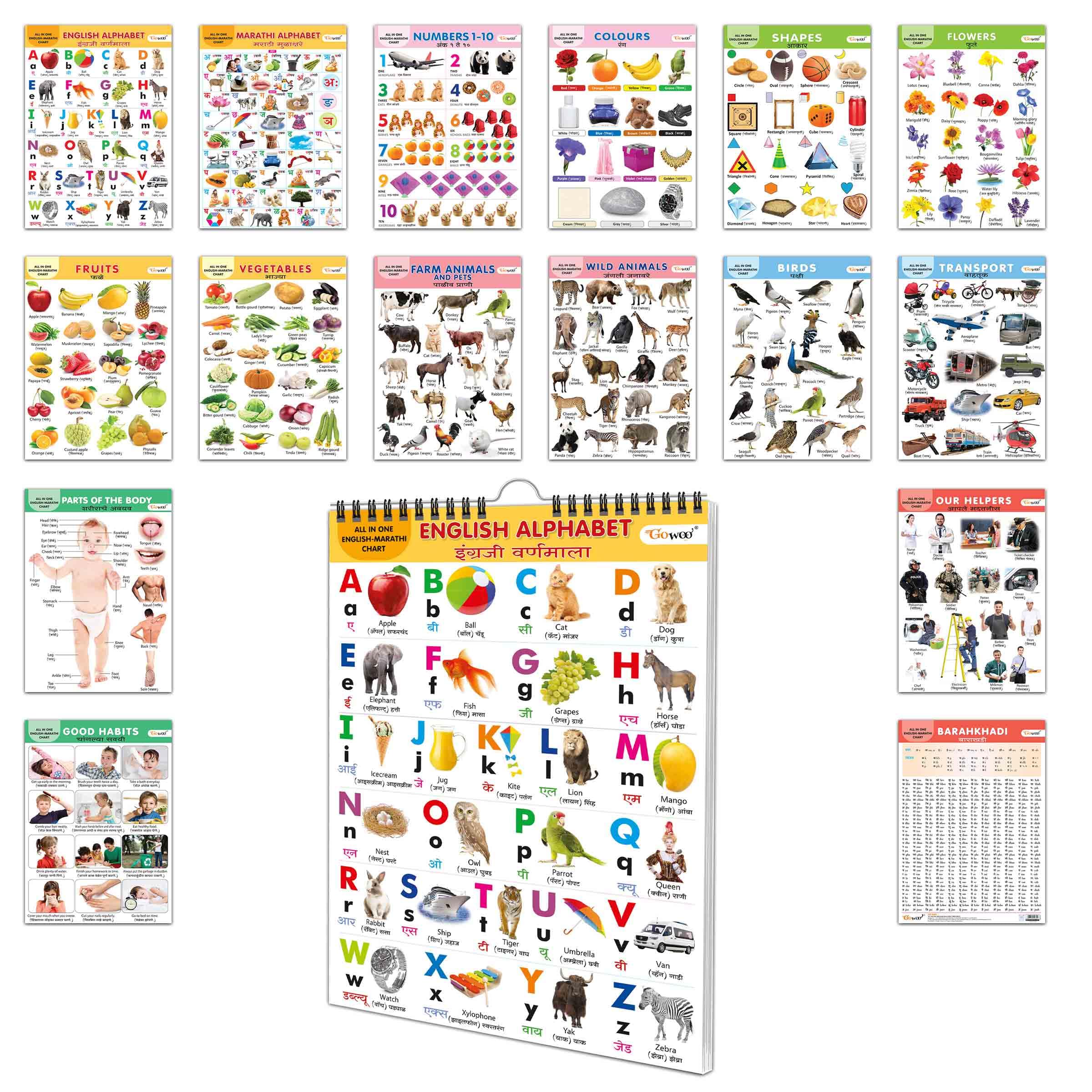 ENGLISH-MARATHI Chart For Kids (16 Charts ) 36 x 50 cm - Children Spiral Wall Picture Chart