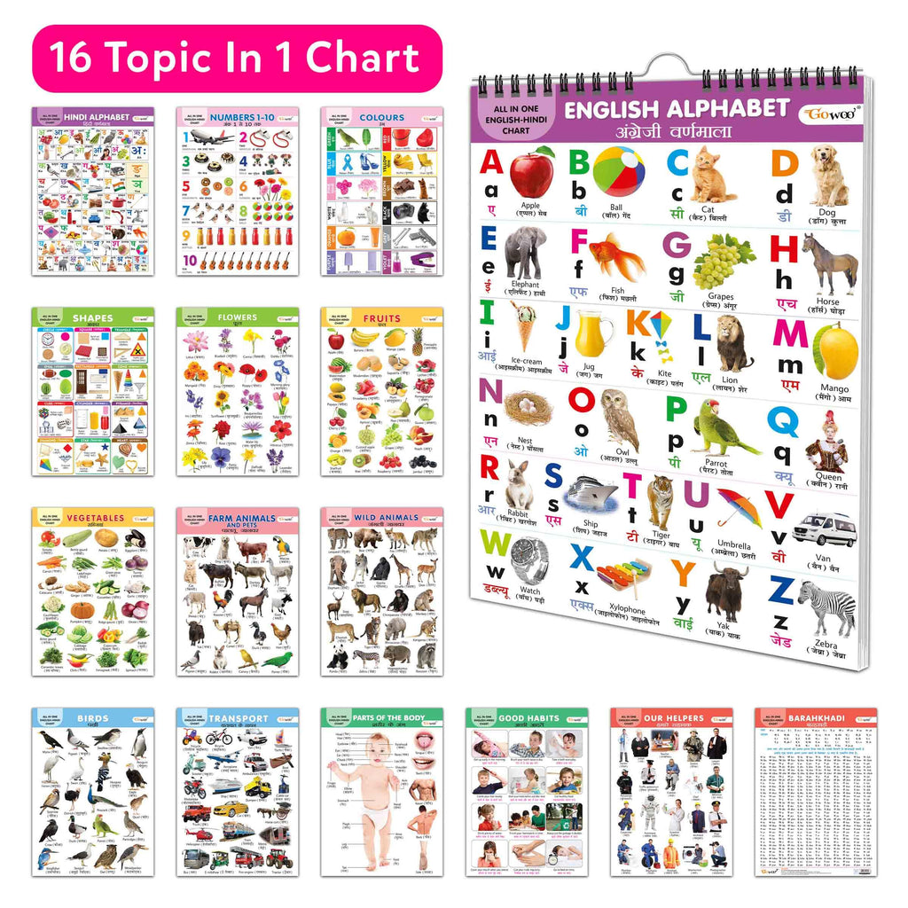 ENGLISH-HINDI Chart For Kids (16 Charts ) 36 x 50 cm - Children Spiral Wall Picture Chart
