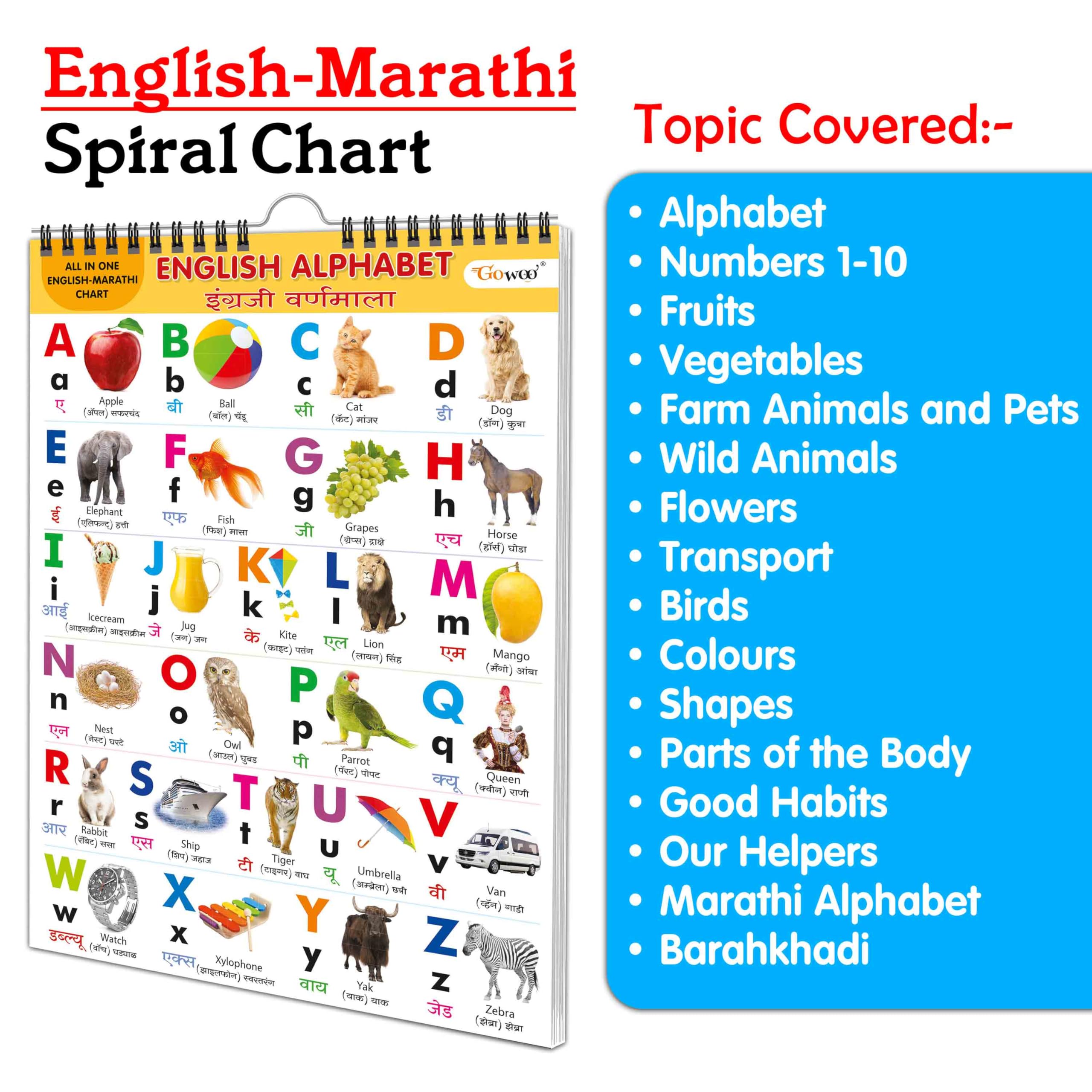 ENGLISH-MARATHI Chart For Kids (16 Charts ) 36 x 50 cm - Children Spiral Wall Picture Chart