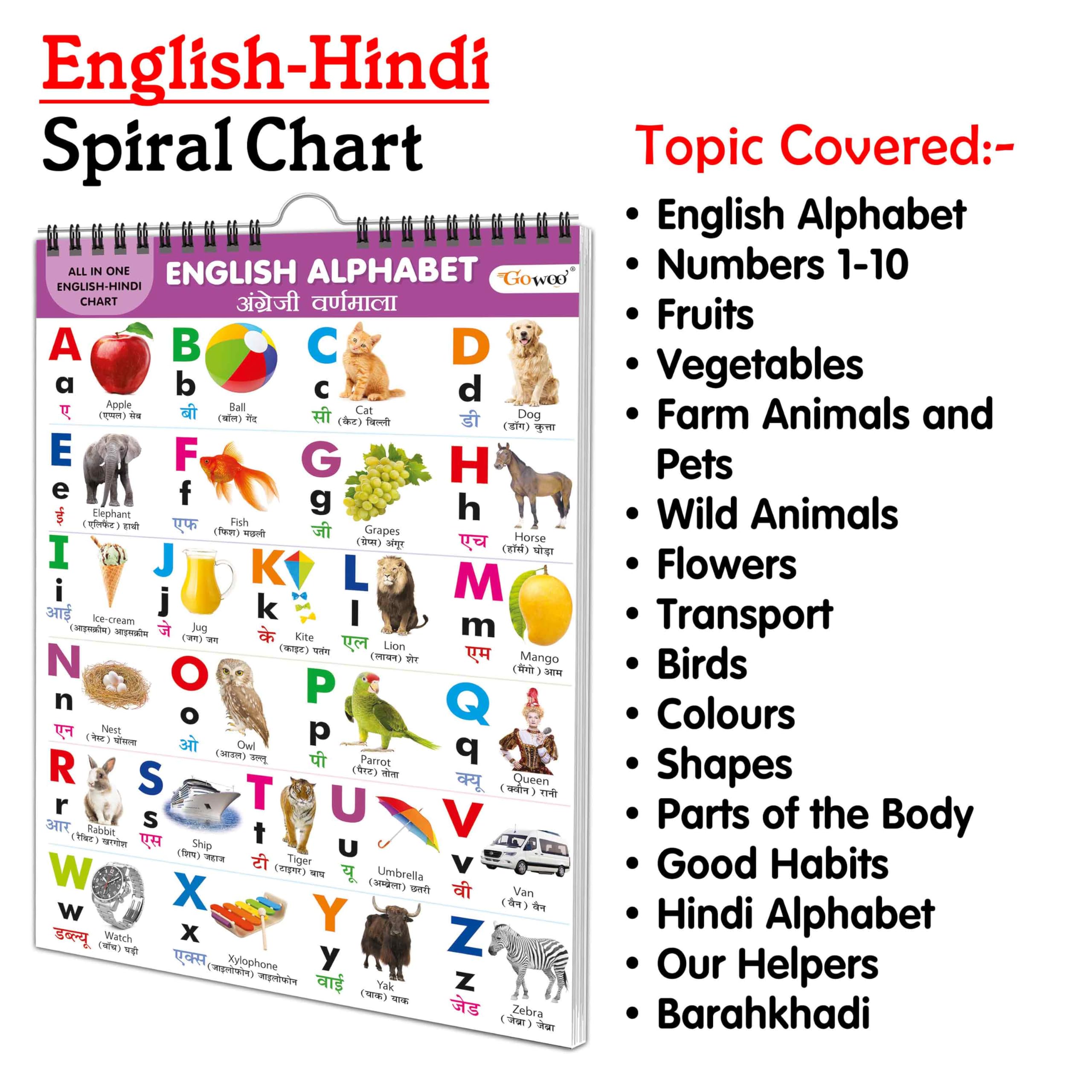 ENGLISH-HINDI Chart For Kids (16 Charts ) 36 x 50 cm - Children Spiral Wall Picture Chart